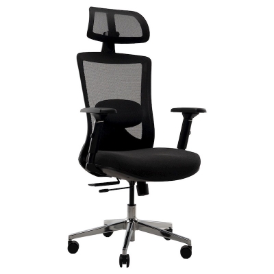 Picture of REGAL Office Swivel Chair Ergonomic Chair- B35