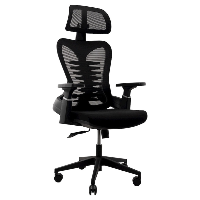 Picture of REGAL Office Swivel Chair Ergonomic Chair- B38