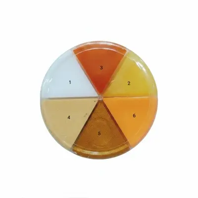 Picture of 6 in rainbow 24 k gold 6 in kit ( 500 ml)