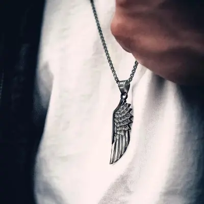 Picture of Fashion stainless steel retro feather wing pendant new titanium steel wing punk necklace/Simple Fashionable Chain Necklace For men