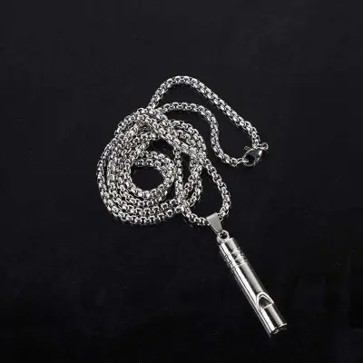 Picture of New Stylish Fashion Jewellery  Stainless Steel Chain Necklace For Men