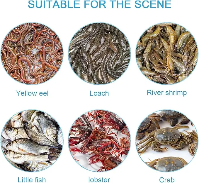 Picture of Holes Catch Mixed Fish Trap Crayfish Catcher Outdoor Fishing Net Cage Plastic Fish Trap Cage Easy to Install