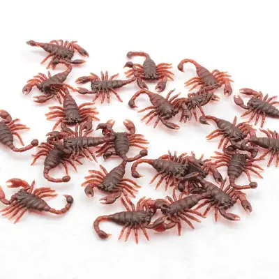 Picture of Miniature Scorpion Collectibles