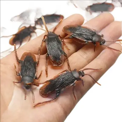 Picture of Children Realistic Toy Cockroach Prank Toy