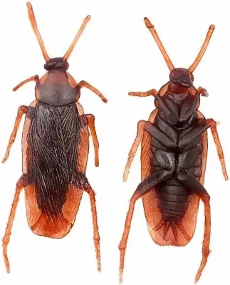 Picture of Children Realistic Toy Cockroach Prank Toy