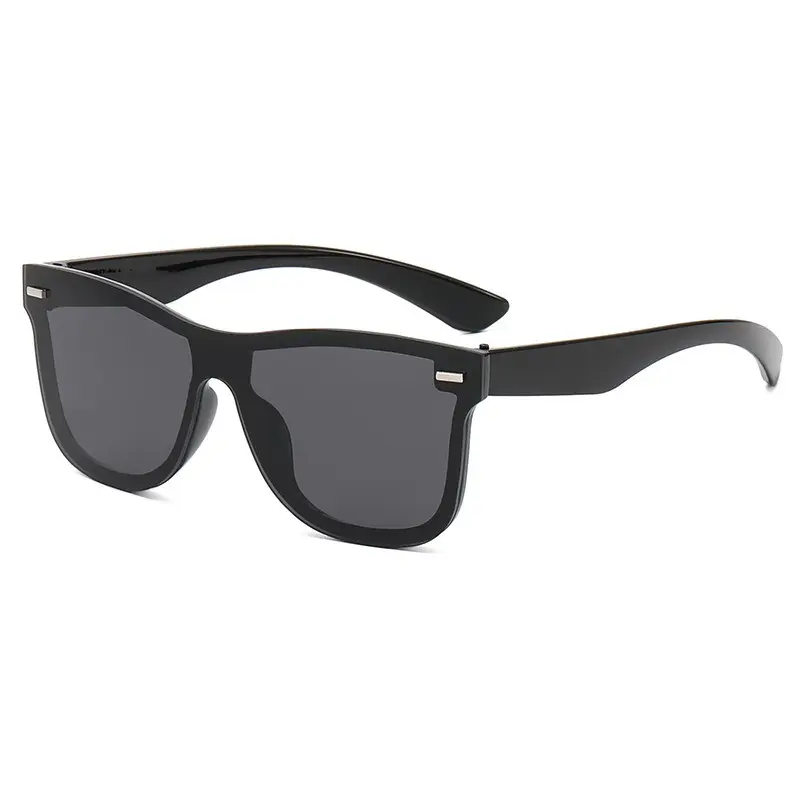 Picture of Executive Look Wayfarer Sunwear