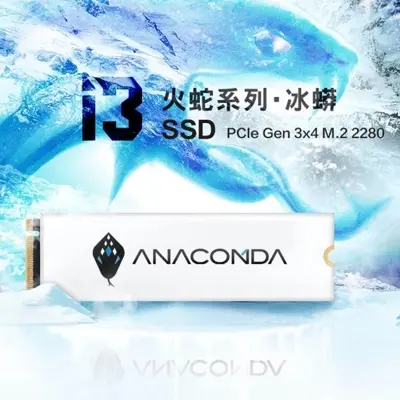 Picture of Anacomda 256GB M.2 NVMe PCIe Gen3x4 Internal SSD(White,256GB)
