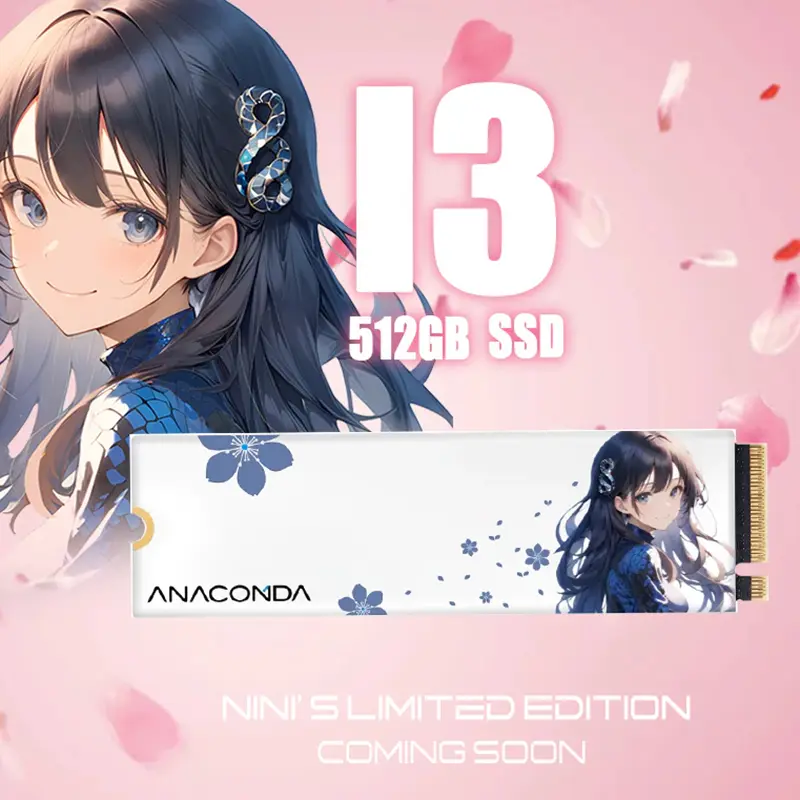 Picture of Anacomda NINI Special Edition 512GB M.2 NVMe PCIe Gen3x4 SSD(Multicolor,512GB)