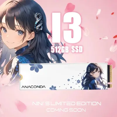 Picture of Anacomda NINI Special Edition 512GB M.2 NVMe PCIe Gen3x4 SSD(Multicolor,512GB)