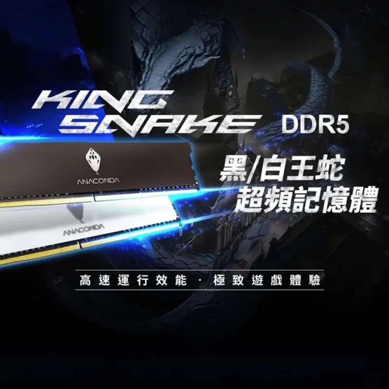 Picture of Anacomda King Snake 16GB DDR5 6000MHz Desktop Gaming RAM - White Heatsink(BLACK)