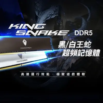 Picture of Anacomda King Snake 16GB DDR5 6000MHz Desktop Gaming RAM - White Heatsink(BLACK)