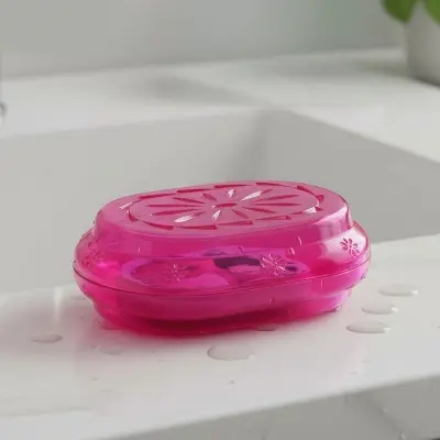 Picture of Soap Case - 1 Piece