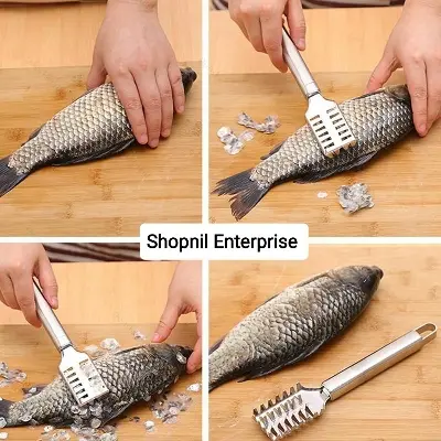 Picture of Fish Scale Remover or Peeler (1 Piece)