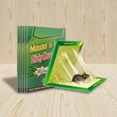 Picture of 5 Pieces Rat and Mouse Glue Trap board