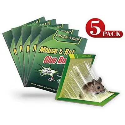 Picture of 5 Pieces Rat and Mouse Glue Trap board