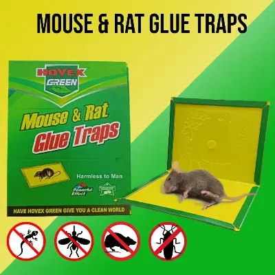 Picture of Mouse and Rat Glue Tape 1 Piece