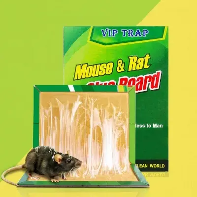 Picture of Mouse and Rat Glue Tape 1 Piece