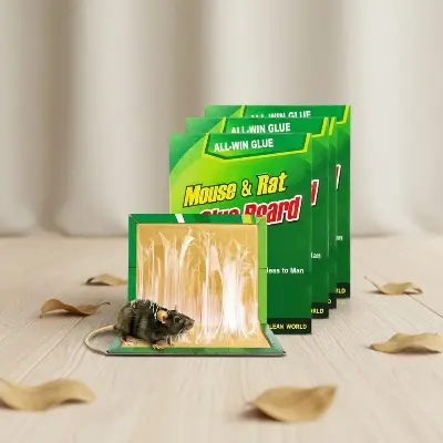 Picture of 10 Pieces Rat and Glue Trap Boards