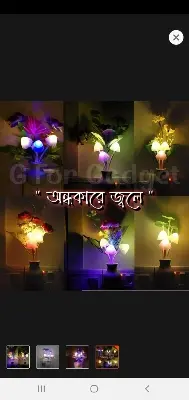 Picture of Romantic Mashroom Light 1 Piece