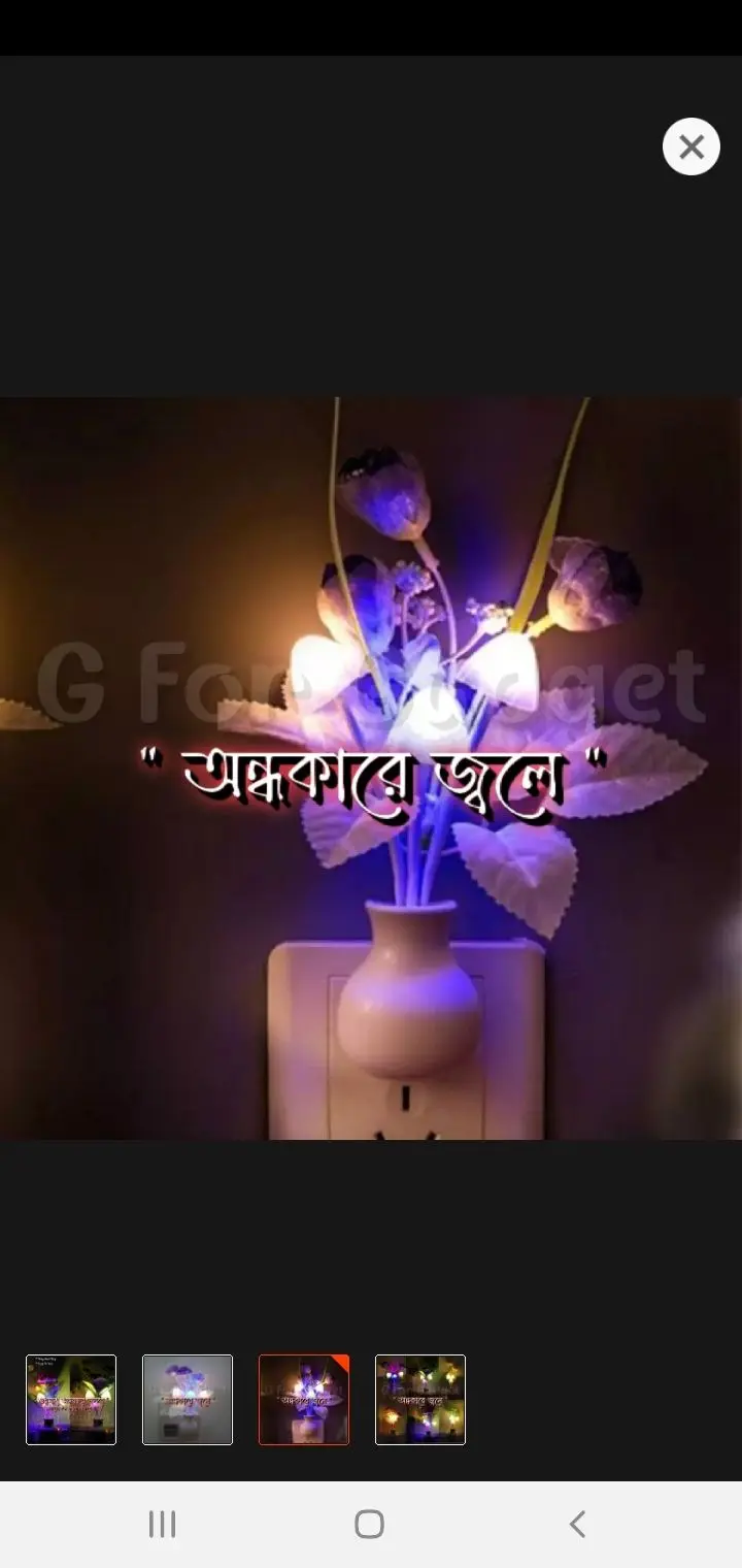 Picture of Romantic Mashroom Light 1 Piece