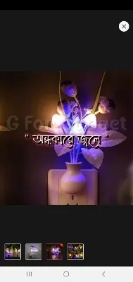 Picture of Romantic Mashroom Light 1 Piece