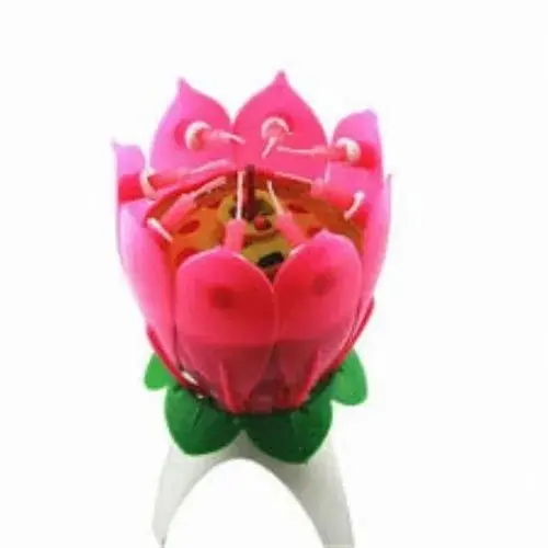 Picture of 1 piece Lotus or lili musical candle for birthday or occasion (1 piece)