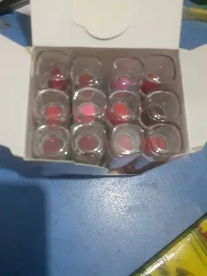 Picture of 12 Colors Long Lasting Doll Lipsticks (12 pieces)