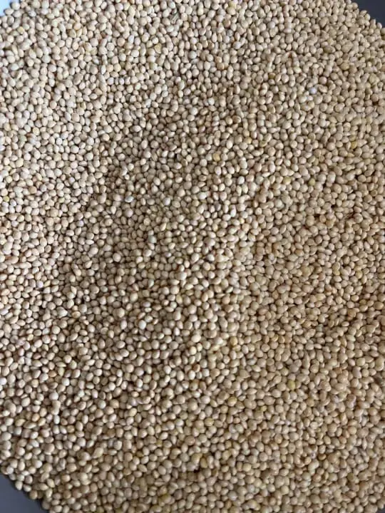 Picture of White millet for Birds 500 gm