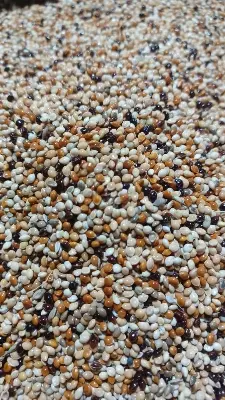 Picture of মিলেট মিক্স ৫০০ গ্রাম