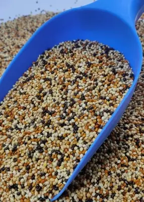 Picture of মিলেট মিক্স ৫০০ গ্রাম