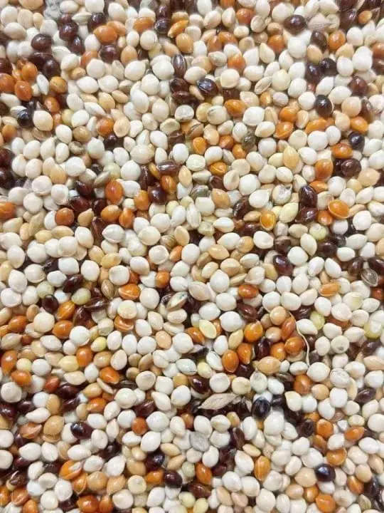 Picture of মিলেট মিক্স ৫০০ গ্রাম