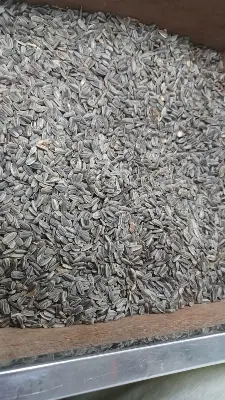 Picture of Niger Seed (Gujitil) For Bird-250g