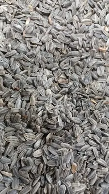 Picture of Niger Seed (Gujitil) For Bird-250g