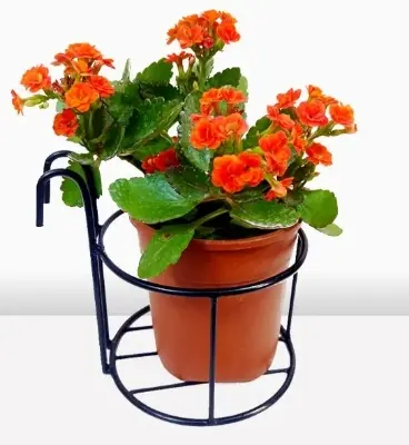 Picture of 1PC 8Inch Round Planter Stand Flower Pot Stand For Balcony Living Room Outdoor Indoor Grill Rack(Black)