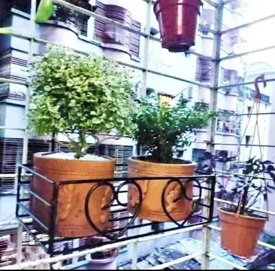 Picture of Metal Grill Rack Hanging Planter Pot 15x8x4 inches -1 Pcs.(Black)