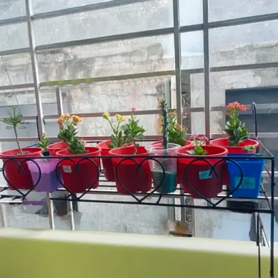 Picture of Metal Grill Rack Hanging Planter Pot 24x8x4 inches -1 Pcs.(Black)