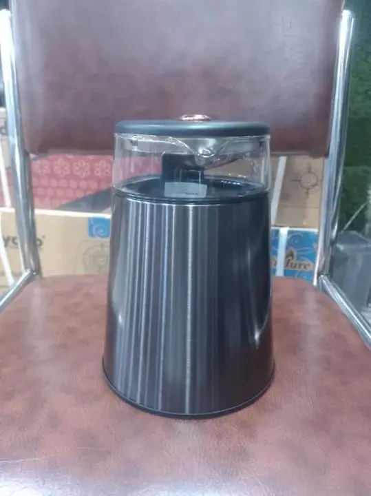 Picture of Miyako Electric Kettle model MJK-18GLS.