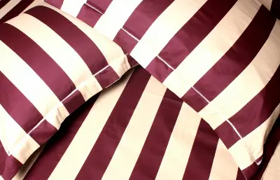 Picture of 100% Premium Potton Bedsheet Set (Includes 1 Bedsheet and 2 Pillow Covers)