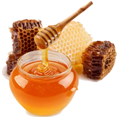 Picture of Khagrachari Premium 100% Sweet Honey 250g