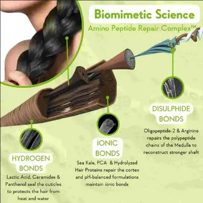 Picture of WishCare Triple Bond Repair Shampoo 250 ml