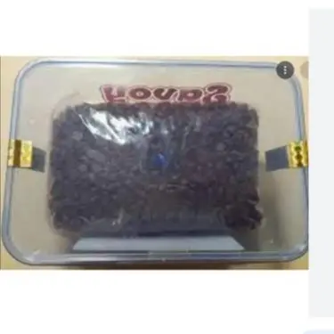 Picture of Savoy Chocolate Chips 500 gm