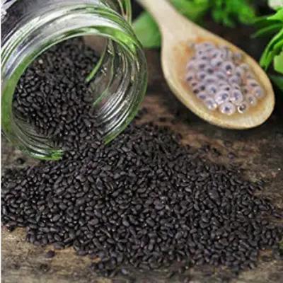 Picture of Tokma Dana Basil Seed 500 Gm
