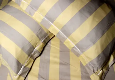 Picture of 100% Premium Potton Bedsheet Set (Includes 1 Bedsheet and 2 Pillow Covers)