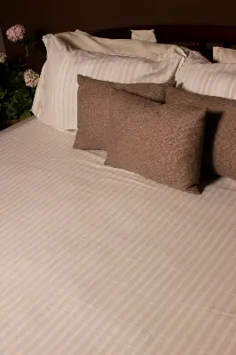 Picture of 100% Premium Potton Bedsheet Set (Includes 1 Bedsheet and 2 Pillow Covers)