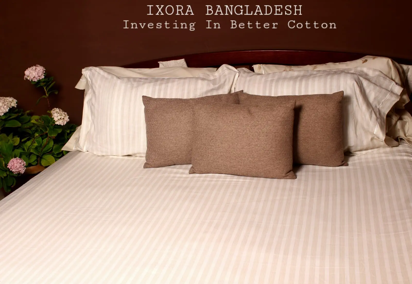 Picture of 100% Premium Potton Bedsheet Set (Includes 1 Bedsheet and 2 Pillow Covers)