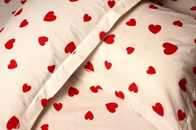 Picture of 100% Premium Cotton Bedsheet Set (Includes 1 Bedsheet and  4 Pcs Pillow Covers)