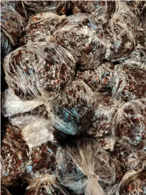 Picture of তেঁতুল- 500g indian