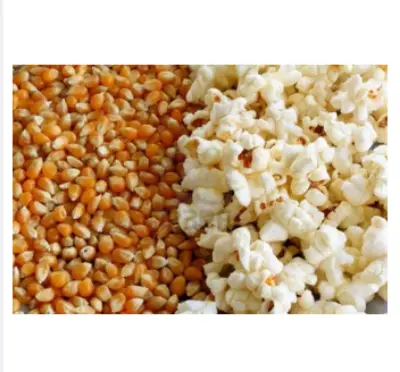 Picture of Pop Corn Bhutta-500gm