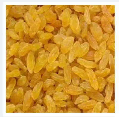 Picture of Golden Raisin kishmish Long-1kg