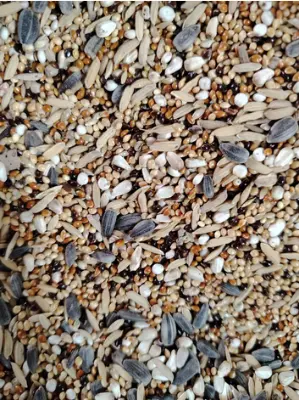 Picture of Bird Food Seed Mix for Cockatiel & Love Birds -- 1kg - 1kg